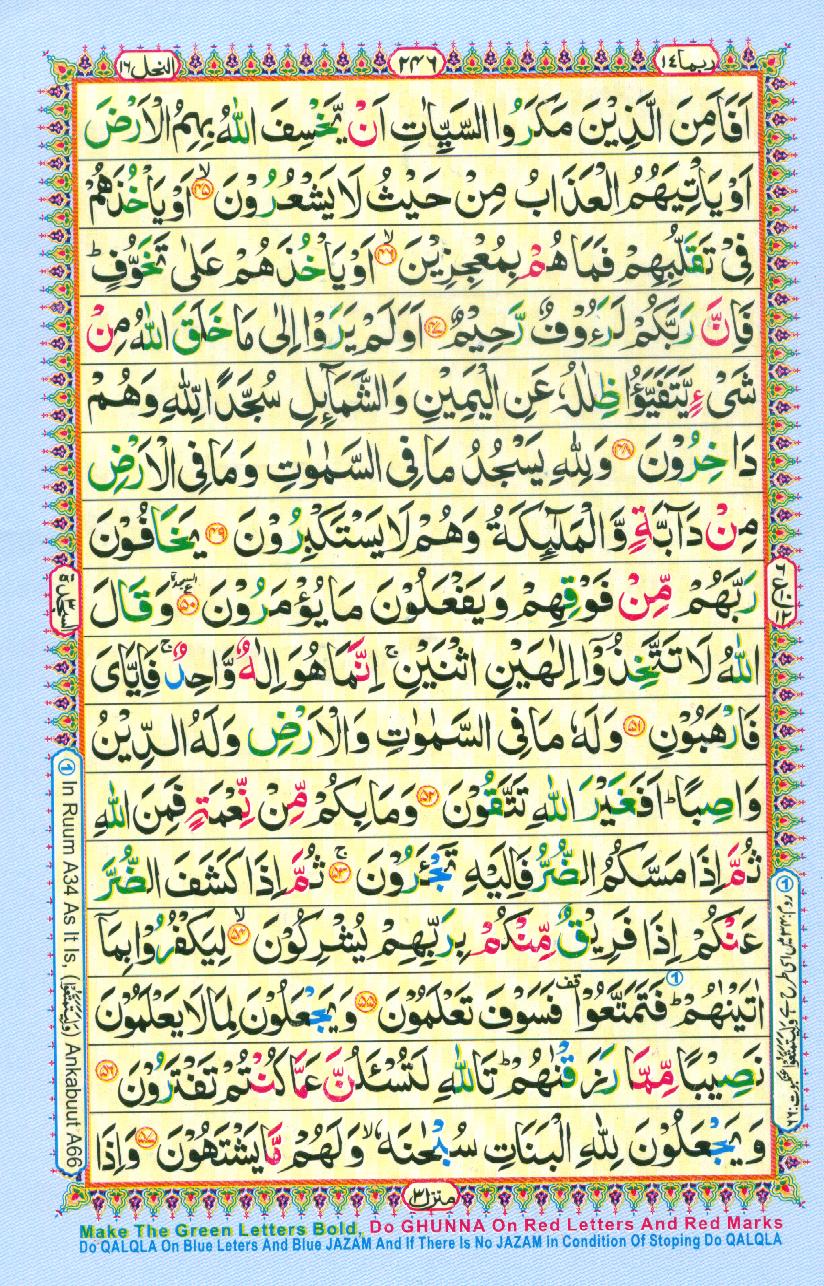 Para 14 Rubamā